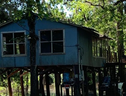 Raised Gulf Coast home standing on tall piers above floodwater among trees