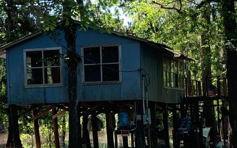 Raised Gulf Coast home standing on tall piers above floodwater among trees