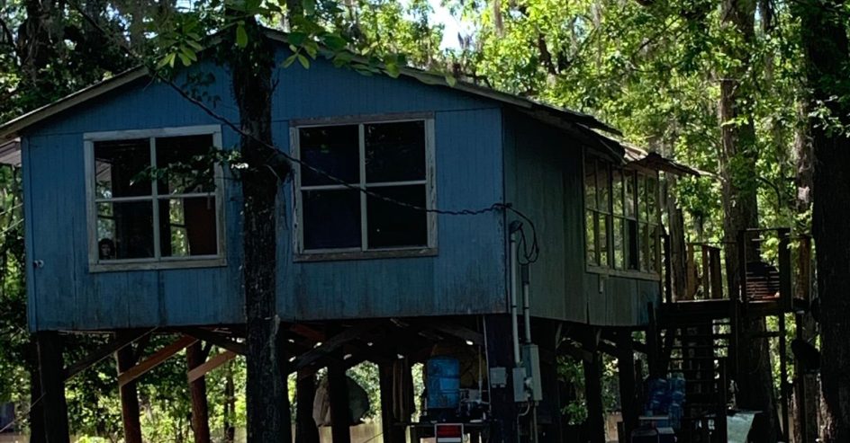 Raised Gulf Coast home standing on tall piers above floodwater among trees